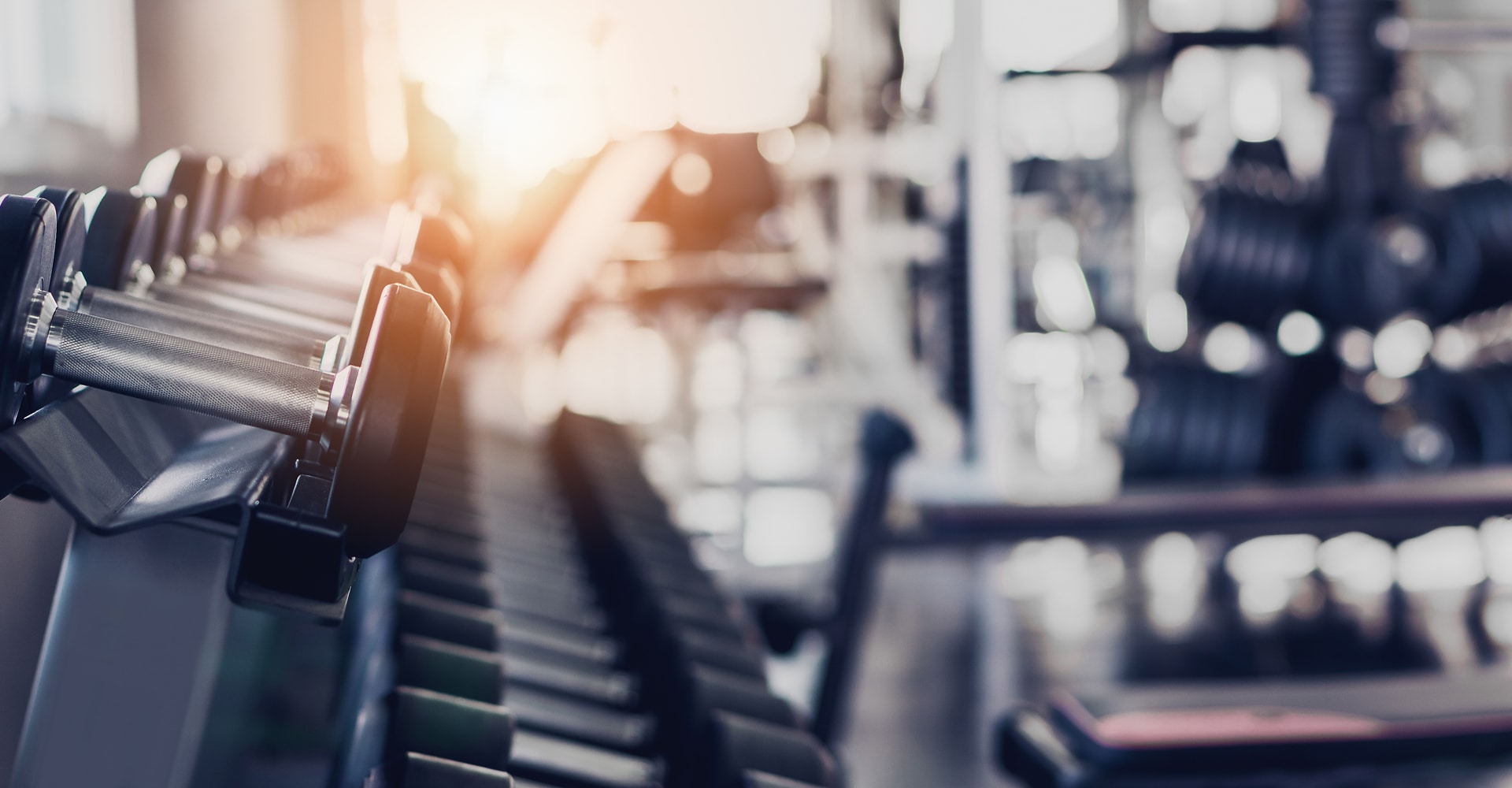 Rangée d'haltères de musculation sur rack dans une salle de sport. Les poignées métalliques sont mises en évidence par une forte lumière solaire.